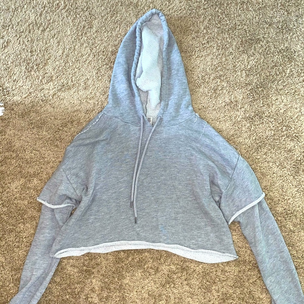 cropped hoodie (size small)
